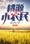 桃源小农民